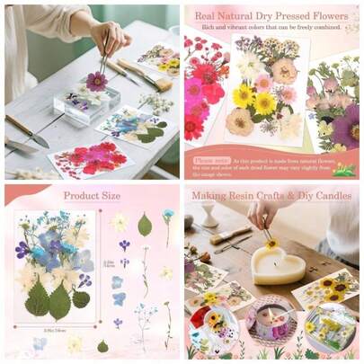 Flores Prensadas Secas para Resina, 5 Bolsas de Piezas de Flores Prensadas, 5 Temas de Colores, Flores Secas para Arte de Uas, Resina, Diseo de Joyera de Tipo 2