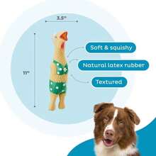 Outward Hound By Charming Pet Squawkers Grandma Hippie Chick Latex Squeaky Rubber Chicken Dog Toy, Funny Interactive Holiday Toy For Dogs, Large Size - ColorB - View 3