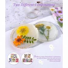 Flores Prensadas Secas para Resina, 5 Bolsas de Piezas de Flores Prensadas, 5 Temas de Colores, Flores Secas para Arte de Uas, Resina, Diseo de Joyera de Tipo 2 - Tipo 1 - Ver 3