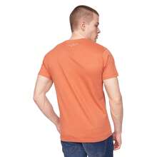 Henleys Mens Scripthen Logo T-Shirt (Brick Red) - 100% Mixed - (BG1375) - Red - View 3