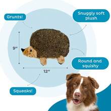 Outward Hound, Hedgehogz Plush Dog Toy, Medium - 毛絨狗刺猬 - 查看 4