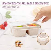 5 Paquete de Bento Caja de Almuerzo, 4 Compartimentos Contenedores de Aperitivos, Caja de Aperitivos Dividida, Contenedores de Almuerzo para Preparación de Comidas para Niños Pequeños y Adultos, Recipientes de Almacenamiento de Alimentos para la Escuela, el Trabajo y los Viajes - Paquete de 4 multicolor - Ver 6