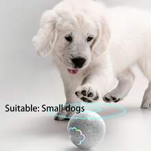 可调节模式的猫狗滚动玩具球 - 互动趣味游戏时间，大型宠物活动球，有趣的设计，耐用的结构 - 彩色 - 查看 6