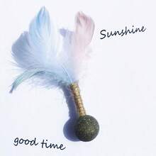 1/3/5 Stücke zufällige Farbe Katzen Federn Plüsch Katzenminze Spielzeug, Angstlinderung für Wohnungskatzen, Zahnreinigung, Verdauungsförderung, interaktives Spielzeug aus weichem Material, mit Katzenminze angereichert für erhöhte Anziehungskraft, mit Kick- und Schlagaktion, zur Unterhaltung und Stimulation von Katzen in Innenräumen, das perfekte Geschenk für Haustierkatzen zu Weihnachten und Neujahr