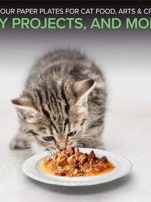 100/50/10pcs一次性纸盘，餐盘，甜点盘，100%可堆肥纸盘，6英寸/7英寸/8英寸/9英寸/10英寸纸盘，由甘蔗纤维无涂层纸板制成，非常适合三明治、蛋糕和小吃，适用于野餐、户外活动、派对聚会、日常使用、厨房、餐厅装饰、生日派对、宠物餐盘、一次性餐盘 - 彩色 - 查看 6