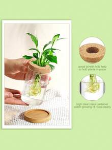 Glass Planter With Wooden Lid, Suitable For Hydroponics, Plant Propagation Station, Gardening Gift, Ideal For Women, Mothers, Home, Office Desk Decor (Classic Style)