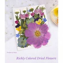 Flores Prensadas Secas para Resina, 5 Bolsas de Piezas de Flores Prensadas, 5 Temas de Colores, Flores Secas para Arte de Uas, Resina, Diseo de Joyera de Tipo 2 - Tipo 1 - Ver 4