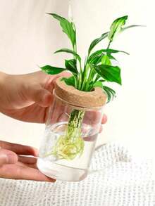 Glass Planter With Wooden Lid, Suitable For Hydroponics, Plant Propagation Station, Gardening Gift, Ideal For Women, Mothers, Home, Office Desk Decor (Classic Style)