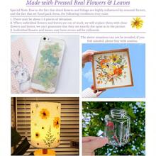 Flores Prensadas Secas para Resina, 5 Bolsas de Piezas de Flores Prensadas, 5 Temas de Colores, Flores Secas para Arte de Uas, Resina, Diseo de Joyera de Tipo 2 - Tipo 1 - Ver 6