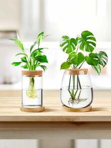 Glass Planter With Wooden Lid, Suitable For Hydroponics, Plant Propagation Station, Gardening Gift, Ideal For Women, Mothers, Home, Office Desk Decor (Classic Style)