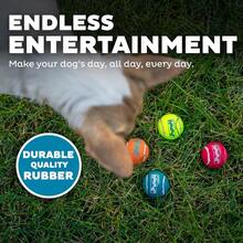 Outward Hound Squeaker Ballz 4-Pack Tennis Ball Dog Toys With Squeaker, Interactive Fetch Play For Pets Under 50 Lbs, Training Balls For Indoor & Outdoor Exercise, Medium, 2.5-Inch - 多聲響球 - 查看 4