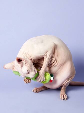 3 件套 - 毛毛虫设计猫玩具、宠物薄荷枕头、趣味宠物用品、宠物玩具、猫产品、互动猫玩具、鸭子形状猫玩具、狗咀嚼玩具、娱乐玩具和无聊缓解玩具