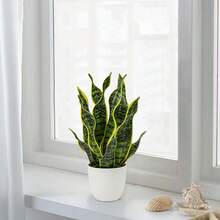 Cây lưỡi hổ nhân tạo trồng trong chậu Sansevieria Trifasciata giả, cây lưỡi hổ nhiệt đới trong chậu trắng dùng trang trí nhà cửa, văn phòng, phòng khách, quà tặng tân gia - màu xanh lá - Xem 7