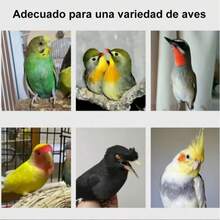 Large Bird Cage For Home Use, Suitable For Parrots, Cockatoos, Mynahs, Finches, Parrots, Luxury Villa Breeding Aviary