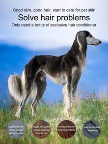 宠物清洁泡沫，适用于狗和猫，宠物护理，温和无刺激清洁洗发水，送给家人和朋友的礼物（新旧款随机发送）