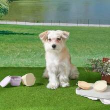 1pc 400ml Collapsible Pet Bowl With Lid, Leak-Proof Travel Dog Bowl For Outdoor Camping & Hiking, Holds Food & Water (100g Lightweight), Easy To Clean & Heat Resistant - Multicolor - View 3