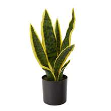 Cây lưỡi hổ nhân tạo trồng trong chậu Sansevieria Trifasciata giả, cây lưỡi hổ nhiệt đới trong chậu trắng dùng trang trí nhà cửa, văn phòng, phòng khách, quà tặng tân gia - màu xanh lá - Xem 2