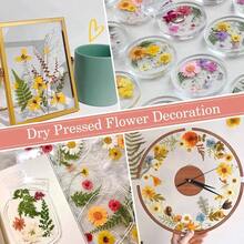 Flores Prensadas Secas para Resina, 5 Bolsas de Piezas de Flores Prensadas, 5 Temas de Colores, Flores Secas para Arte de Uas, Resina, Diseo de Joyera de Tipo 2 - Tipo 4 - Ver 7