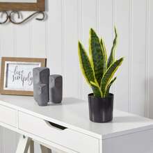 Cây lưỡi hổ nhân tạo trồng trong chậu Sansevieria Trifasciata giả, cây lưỡi hổ nhiệt đới trong chậu trắng dùng trang trí nhà cửa, văn phòng, phòng khách, quà tặng tân gia - màu xanh lá - Xem 4