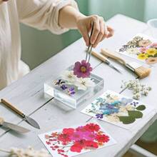 Flores Prensadas Secas para Resina, 5 Bolsas de Piezas de Flores Prensadas, 5 Temas de Colores, Flores Secas para Arte de Uas, Resina, Diseo de Joyera de Tipo 2 - Tipo 3 - Ver 6