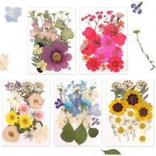 Flores Prensadas Secas para Resina, 5 Bolsas de Piezas de Flores Prensadas, 5 Temas de Colores, Flores Secas para Arte de Uas, Resina, Diseo de Joyera de Tipo 2 - Tipo 3 - Ver 2