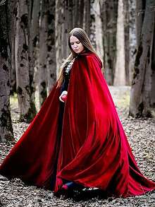 1PC High Density Velvet Witch Hooded Cape, Women's Halloween Queen Party Cosplay RobeCloak,SuitableForHalloween,Christmas,Devil, Vampire, Renaissance Medieval Costume Accessories