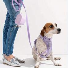 1pc 400ml Collapsible Pet Bowl With Lid, Leak-Proof Travel Dog Bowl For Outdoor Camping & Hiking, Holds Food & Water (100g Lightweight), Easy To Clean & Heat Resistant - Multicolor - View 6