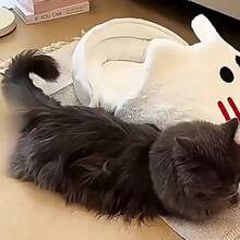 节日礼物之选：毛绒猫窝沙发，四季皆宜，可拆卸水洗，深度睡眠窝宠物床，带有可爱表情和爪印，适合中小型猫咪和兔子，冬季室内保暖宠物用品 - 彩色 - 查看 11