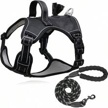 Negro con Correa 1.5m