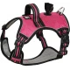 Fucsia