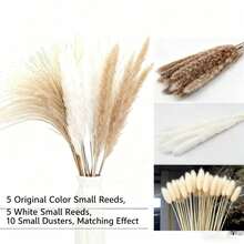 50Pcs/Set Artificial Flowers Life-Like Reed & Rabbit Tail Artificial Plants Set For Room Decor, Home Decoration, Suit For Outdoor Wedding Decorations,Fall Decor,Autumn - Multicolor - View 12