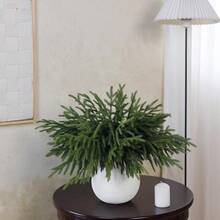 Branches de pin artificiel en neige - parfait pour la décoration de Noël et d'hiver à la maison, accents de dessus de table