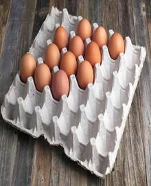 MT Products Pulp Fiber Egg Flat Cartons Holds 30 Eggs - Egg Crate For Chicken Farm - Made In The USA - MàuA - Xem 9