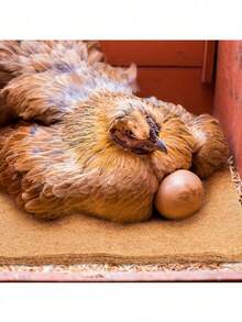 2pcs/5pcs Premium Ultra Absorbent Linen Cage Mats For Rabbits, Hamsters And Guinea Pigs, Rabbit Breeding Mat, Hutch Liner, Guinea Pig Cage, Small Animal Cage, Seedling Mat, Grow Fabric, Plant Growth Mat, Hydroponic Grow Mat