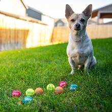 Outward Hound Squeaker Ballz 4-Pack Tennis Ball Dog Toys With Squeaker, Interactive Fetch Play For Pets Under 50 Lbs, Training Balls For Indoor & Outdoor Exercise, Medium, 2.5-Inch - 多聲響球 - 查看 5