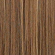 Blonde Highlight