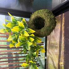 Mossy Caves, Artificial Green Moss Caves Hide For Pet Reptile Frogs And Snakes, Terrarium & Vivarium Decor, Crested Gecko Tank Decor (Woodland Green)