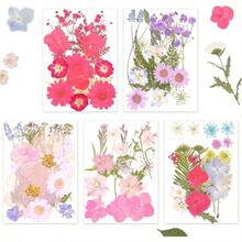 Dried Plants - Tipo 5 - View 2