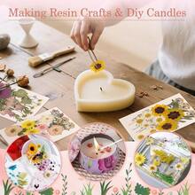 Flores Prensadas Secas para Resina, 5 Bolsas de Piezas de Flores Prensadas, 5 Temas de Colores, Flores Secas para Arte de Uas, Resina, Diseo de Joyera de Tipo 2 - Tipo 3 - Ver 5