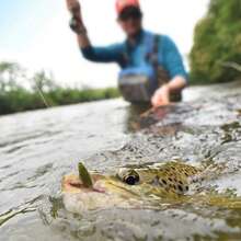 5pcs/15pcs Soft Lure Sinking Shrimp Fishing Bait, Outdoor Fishing Lure