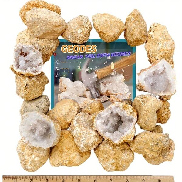 10/20 Stücke natürliche Achat Geoden, selbstknackende Kristalle, große Cut Out Innenbereiche (4-6,5 cm), überraschende Kristallformationen innen! Echter Kristall Geoden-Set, tolle Party-Geschenke & Preise