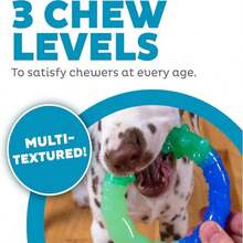 Outward Hound Cutie Chewies Hedgehog Dental Dog Chew Toy, Blue - ColorF - 查看 3