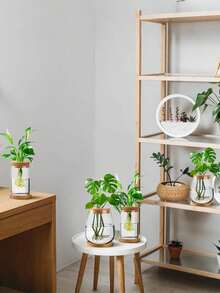 Glass Planter With Wooden Lid, Suitable For Hydroponics, Plant Propagation Station, Gardening Gift, Ideal For Women, Mothers, Home, Office Desk Decor (Classic Style)