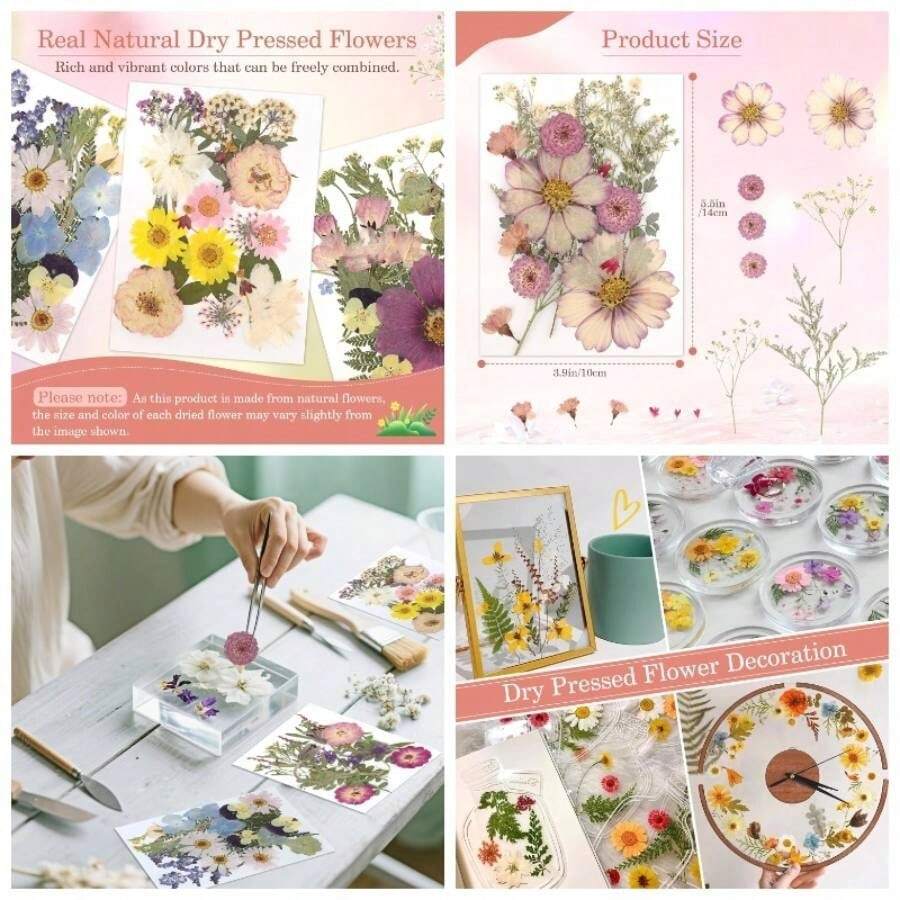 Flores Prensadas Secas para Resina, 5 Bolsas de Piezas de Flores Prensadas, 5 Temas de Colores, Flores Secas para Arte de Uas, Resina, Diseo de Joyera de Tipo 2 - Tipo 4 - Ver 1