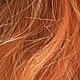 Dirty Orange