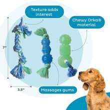 Outward Hound Cutie Chewies Hedgehog Dental Dog Chew Toy, Blue - ColorC - 查看 4