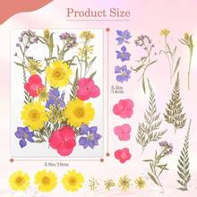 Flores Prensadas Secas para Resina, 5 Bolsas de Piezas de Flores Prensadas, 5 Temas de Colores, Flores Secas para Arte de Uas, Resina, Diseo de Joyera de Tipo 2 - Tipo 7 - Ver 4