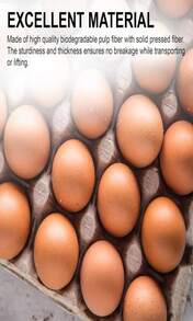 MT Products Pulp Fiber Egg Flat Cartons Holds 30 Eggs - Egg Crate For Chicken Farm - Made In The USA - MàuA - Xem 4