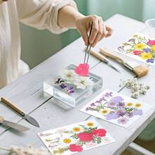 Flores Prensadas Secas para Resina, 5 Bolsas de Piezas de Flores Prensadas, 5 Temas de Colores, Flores Secas para Arte de Uas, Resina, Diseo de Joyera de Tipo 2 - Tipo 7 - Ver 6