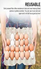 MT Products Pulp Fiber Egg Flat Cartons Holds 30 Eggs - Egg Crate For Chicken Farm - Made In The USA - MàuA - Xem 7